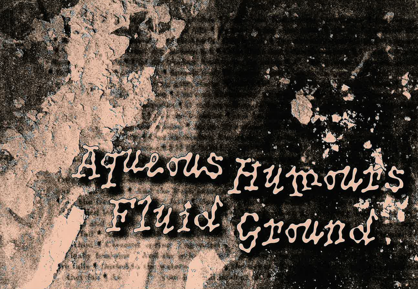 Kirsten Cooke (editor), Aqueous Humours Fluid Ground, 2025