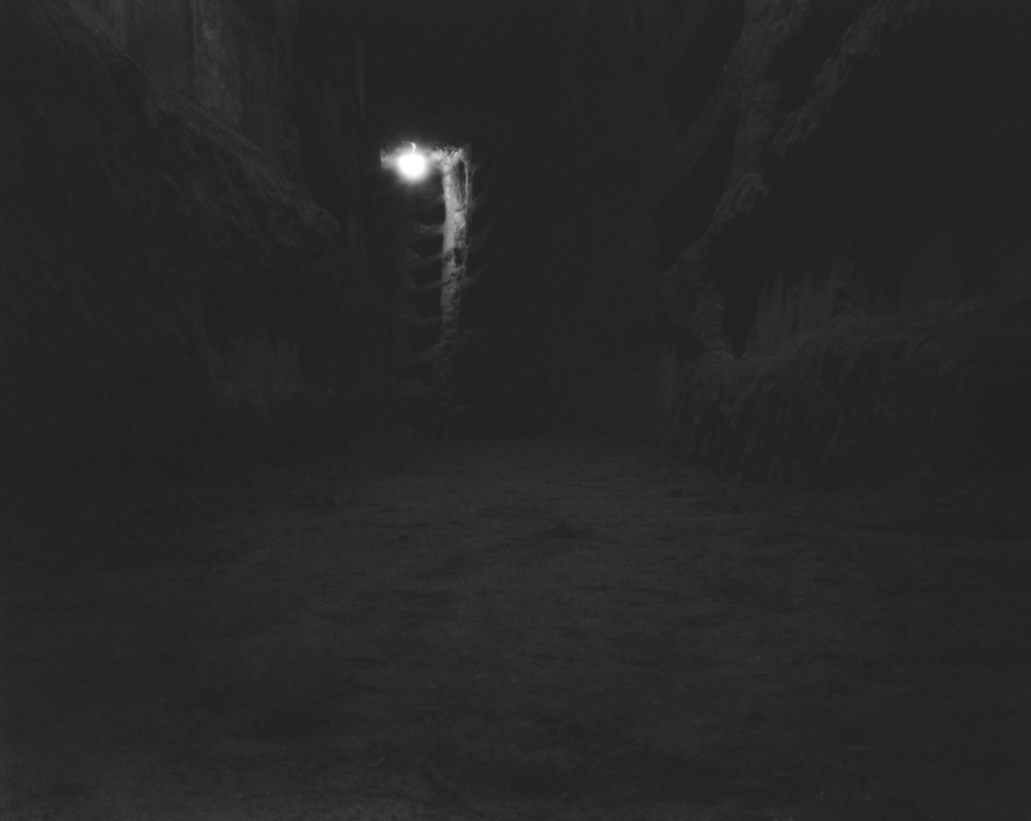 Fiona Crisp, Catacomb #13, 2012