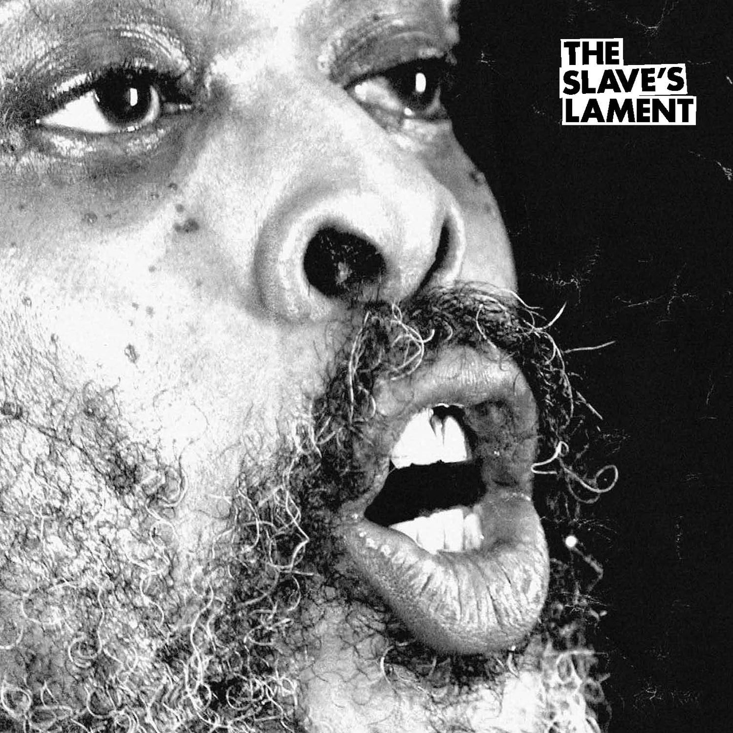Graham Fagen, The Slave’s Lament, 2015