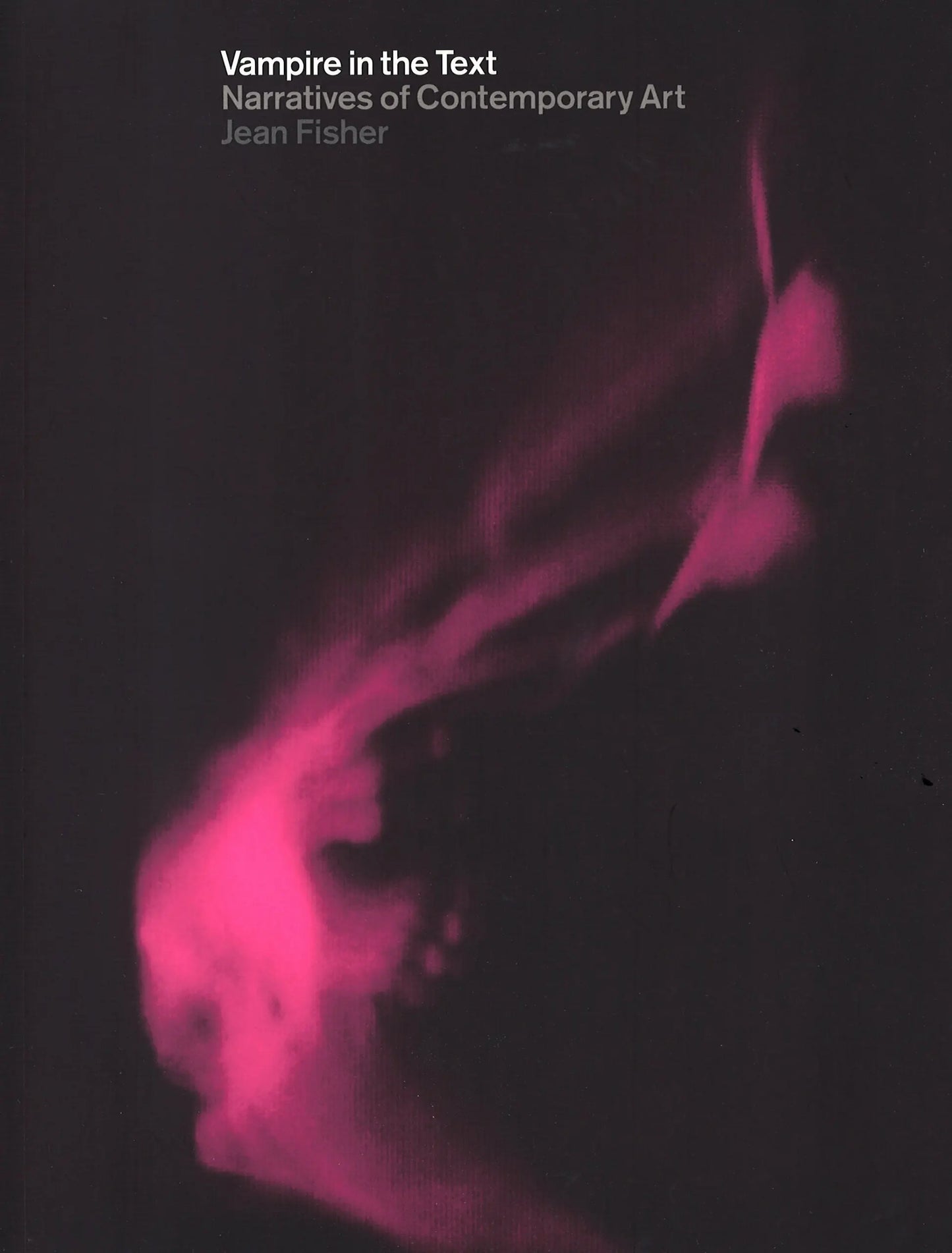 Jean Fisher, Vampire in the Text: Narratives of Contemporary Art, 2003