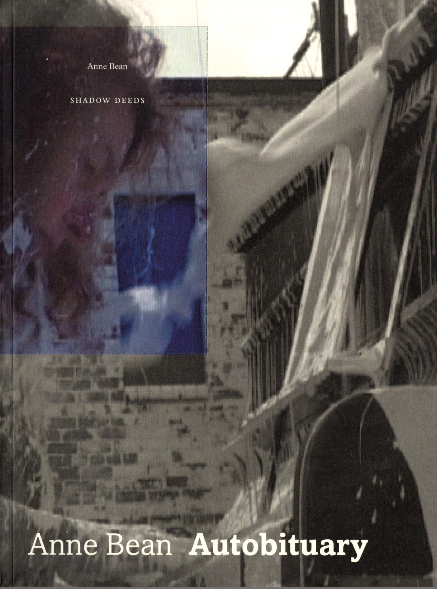 Anne Bean, Autobituary: Shadow Deeds, 2006