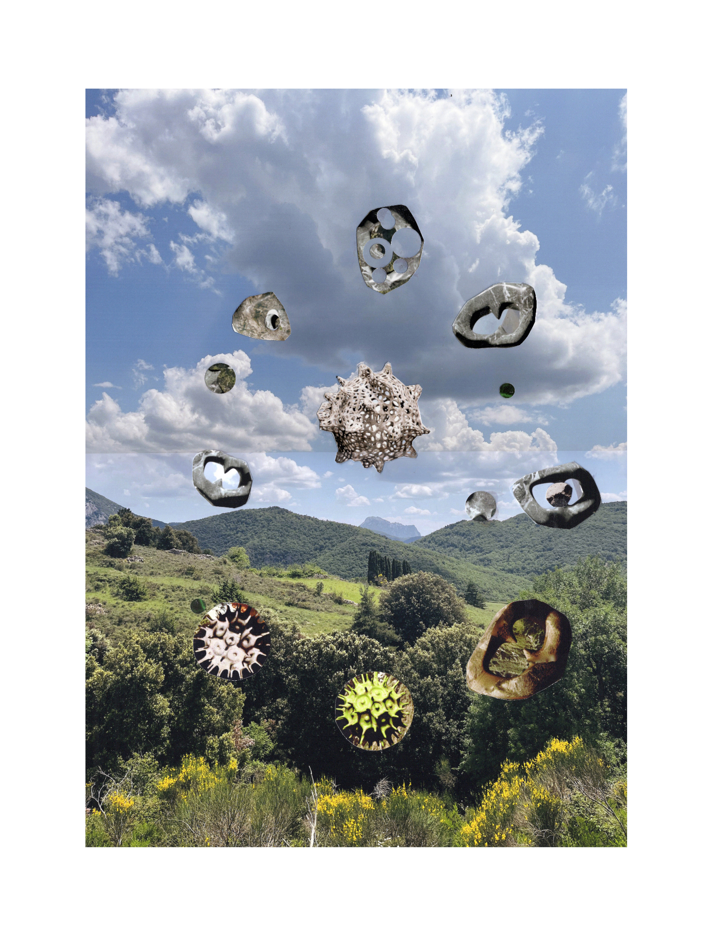 Richard Grayson, W.S.I.N. (Weird Shit In Nature), 2024