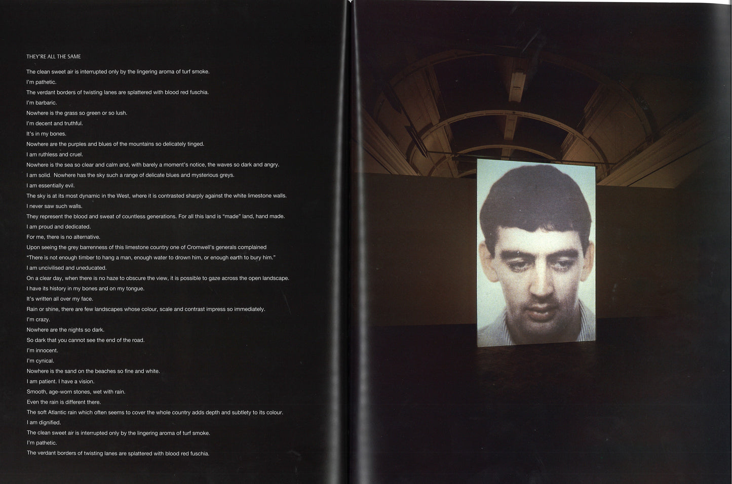Willie Doherty, Partial View, 1993