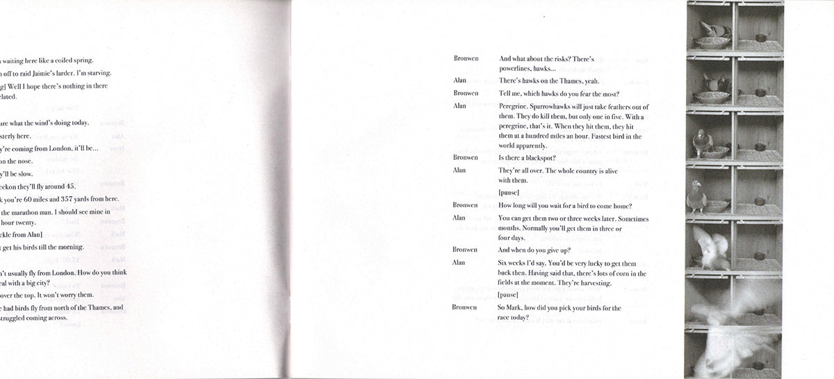 Bronwen Buckeridge, Widowhood, 2021