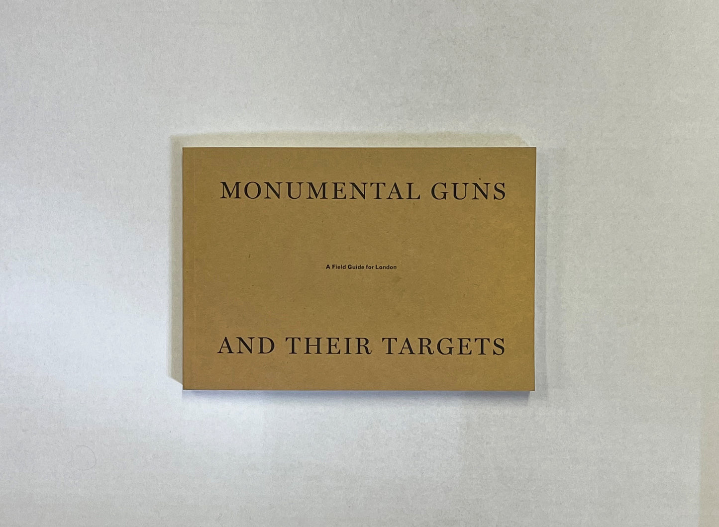 Sean Dower, Monumental Guns and Their Targets, 2022