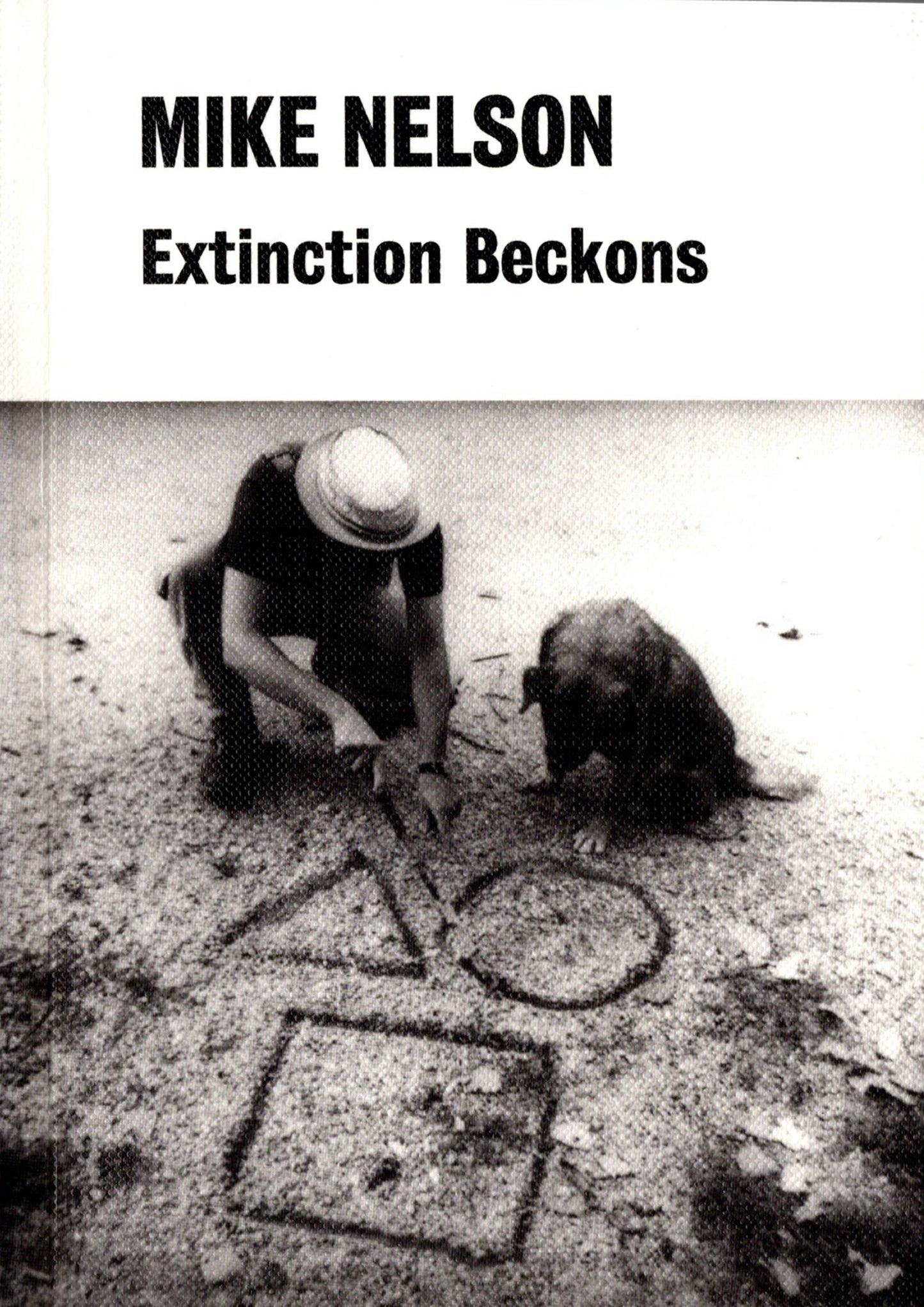 Mike Nelson,Extinction Beckons, 2000
