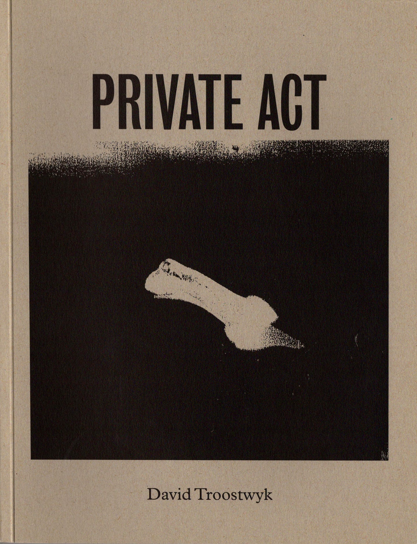 David Troostwyk, Private Act, 1999